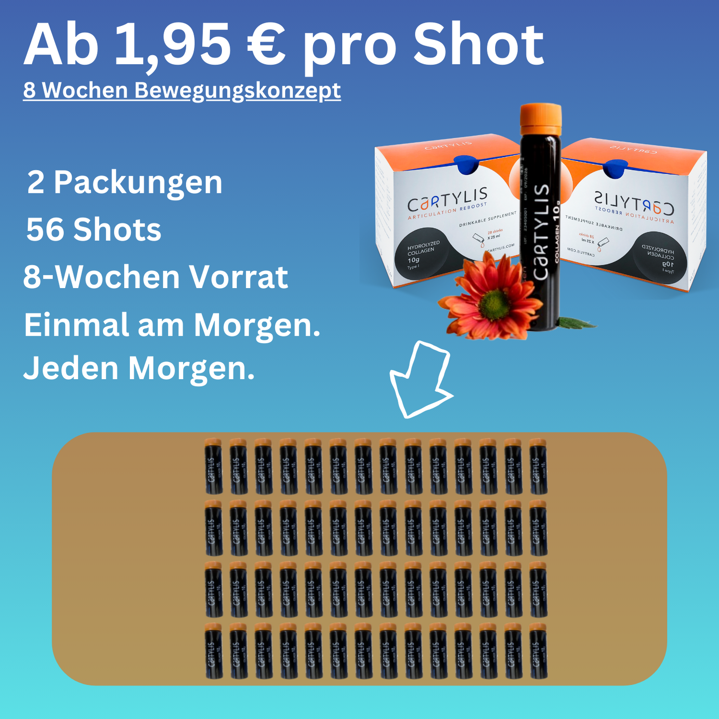 Vorteils-Paket