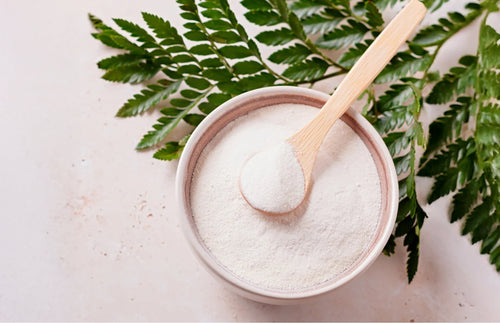 Die Bedeutung von Kollagen: Warum sollten wir es zusätzlich einnehmen?